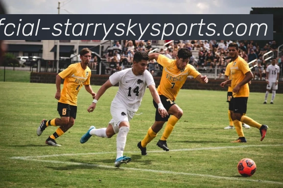 星空体育发展历程